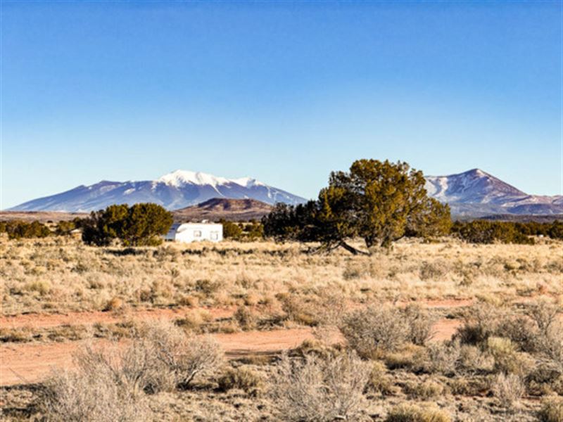 Starry Skies & Route 66 : Williams : Coconino County : Arizona