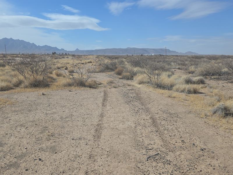 Your Gateway to Desert Living : Deming : Luna County : New Mexico