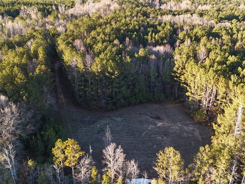 6 Acre Mini Farm in Waverly : Waverly : Tallapoosa County : Alabama