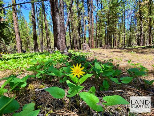 Park Like Setting Bordering Blm : Bonanza : Klamath County : Oregon