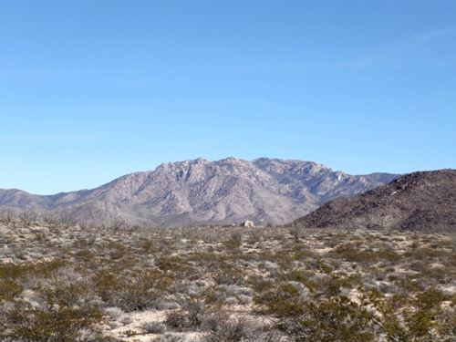 Your Arizona Retirement Dream : Yucca : Mohave County : Arizona