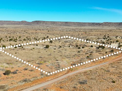 Quiet Land, No HOA, Owner Financing : Conchas Dam : San Miguel County : New Mexico