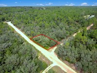 Residential with Outdoor Adventures : Florida City : Putnam County : Florida