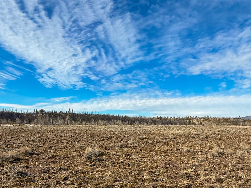 1.54 Acres Near Sprague : Chiloquin : Klamath County : Oregon