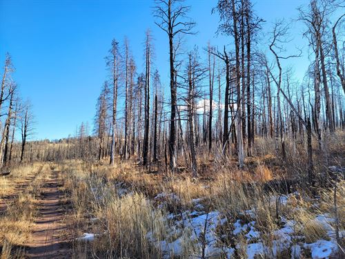 1.38 Acres for Family Trips : Fort Garland : Costilla County : Colorado