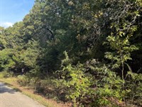 Perfect Summer Home Site : Cherokee Village : Sharp County : Arkansas