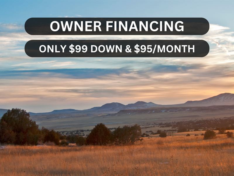 1 Acre Corner Lot Near Albuquerque : Casa Colorada : Socorro County : New Mexico