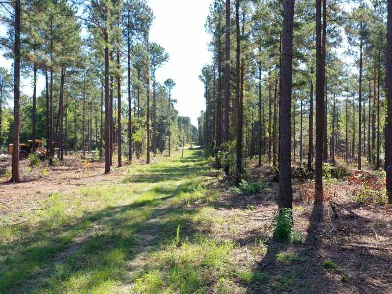 O'quinns Pond Farm, 5 Acres : Milledgeville : Baldwin County : Georgia