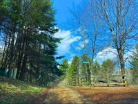 1.08 Acres Ashe Woods : Creston : Ashe County : North Carolina