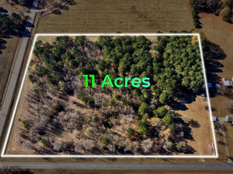 This is Where Acreage Meets Beauty : Byron : Peach County : Georgia