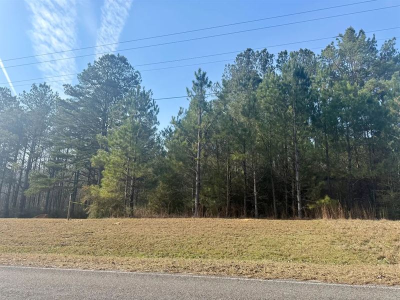 3.7 Acres, Jayess, MS : Jayess : Lawrence County : Mississippi