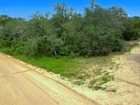 Ideal for Home, Garden & Hobby Farm : Florida City : Putnam County : Florida