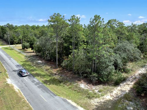 No HOA, No Floodplain, & with Power : Florida City : Putnam County : Florida