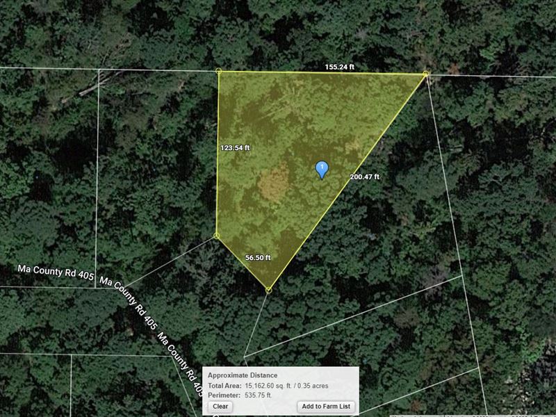 .45 Acre in Ore City, $250/Mo : Ore City : Marion County : Texas