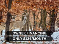 Powerlines Are at The Property : Horseshoe Bend : Izard County : Arkansas