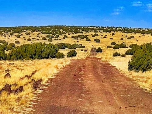 Rvs Livestock and Financing Welcome : Concho : Apache County : Arizona