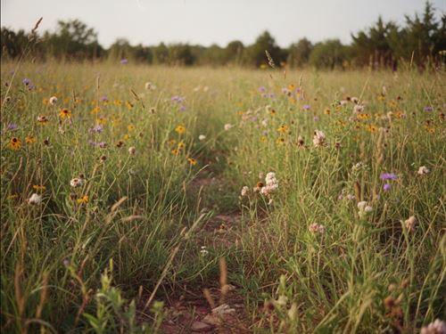 4.47 Acres in Glenpool, OK : Glenpool : Tulsa County : Oklahoma