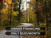 .28 Acre Near Crown Lake : Horseshoe Bend : Izard County : Arkansas