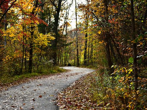 .28 Acre Near Crown Lake : Horseshoe Bend : Izard County : Arkansas