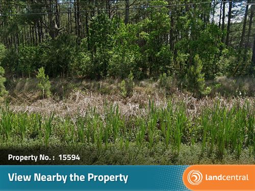 Stunning 0.81 Acre in Hancock, MS : Bay Saint Louis : Hancock County : Mississippi
