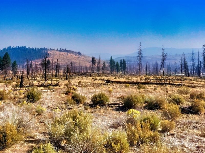 Your Off-Grid Dream Starts at $250 : Chiloquin : Klamath County : Oregon