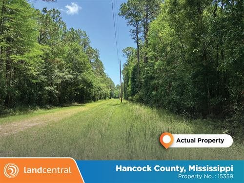 Great 0.2 Acre in Hancock, MS : Bay Saint Louis : Hancock County : Mississippi
