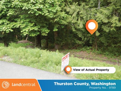 Tree Covered 0.23 Acre in WA : Olympia : Thurston County : Washington