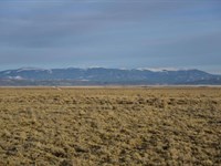 The Perfect 5 Acre Parcel1 : San Luis : Costilla County : Colorado