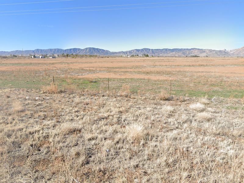 Land Without The Headache : Pearce : Cochise County : Arizona