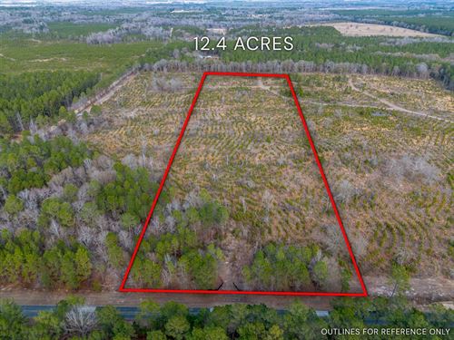 12.40 Acres, Cox Tract 2 in Dodge : Eastman : Dodge County : Georgia