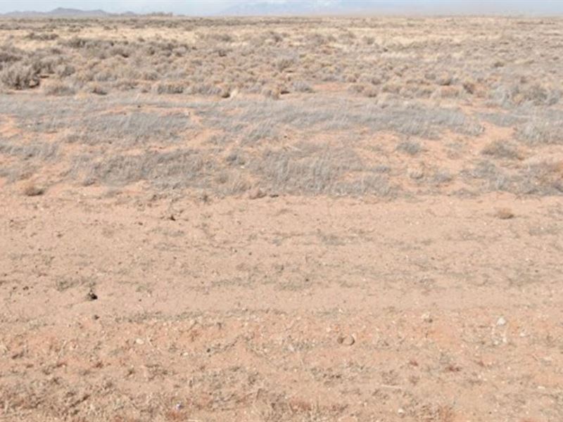 Don't Scroll Pass This Special Deal : San Luis : Costilla County : Colorado