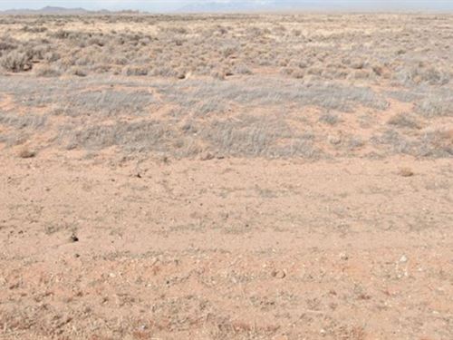 Don't Scroll Pass This Special Deal : San Luis : Costilla County : Colorado