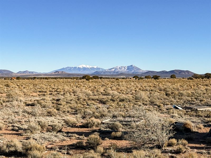 Ready for Route 66 & Beyond : Williams : Coconino County : Arizona