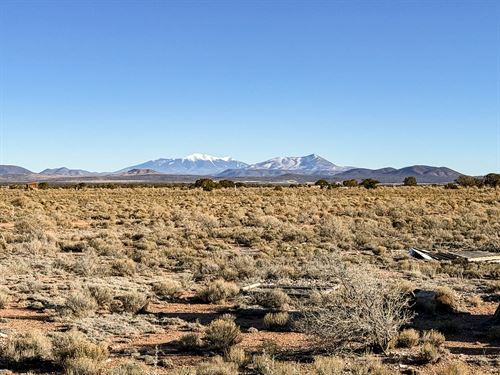 Ready for Route 66 & Beyond : Williams : Coconino County : Arizona