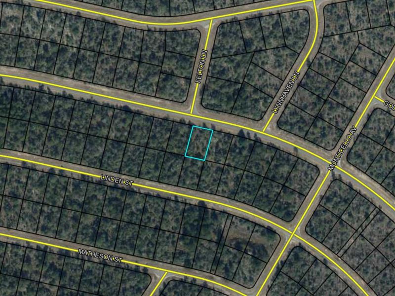 Affordable Land in Florida's Sunny : Chipley : Washington County : Florida