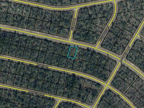 Affordable Land in Florida's Sunny : Chipley : Washington County : Florida