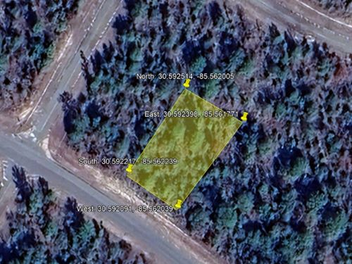 Our Chance to Build in Sunny FL : Chipley : Washington County : Florida