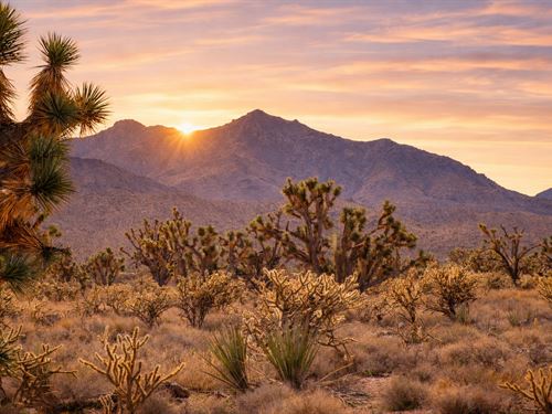 Corner Lot, Power By Public Land : Dolan Springs : Mohave County : Arizona