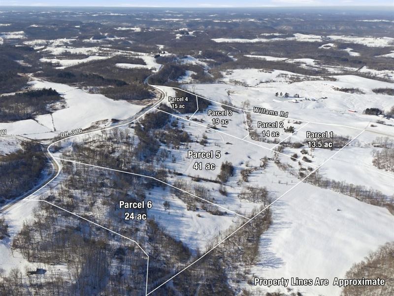 St Rt 376 Parcel 1, 13 Acres : McConnelsville : Morgan County : Ohio