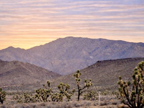 More Space, Less Noise, Zero HOA : Dolan Springs : Mohave County : Arizona