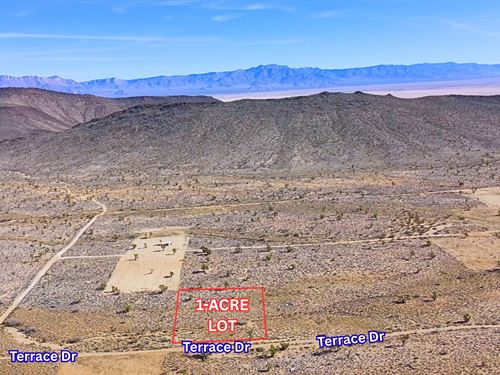 More Space, Less Noise, Zero HOA : Dolan Springs : Mohave County : Arizona