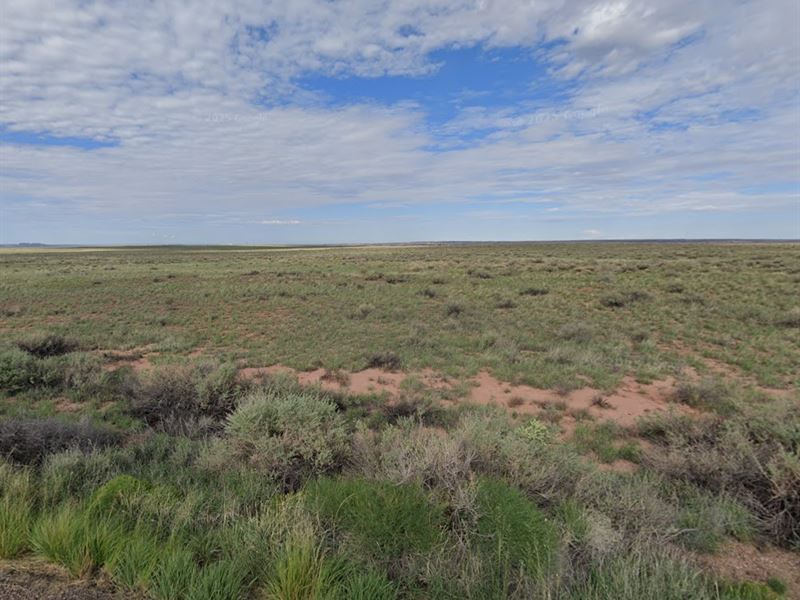 Ditch The Snow, Own Your AZ Escape : Holbrook : Apache County : Arizona