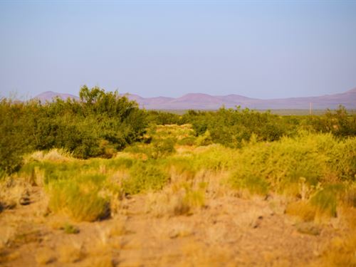 2 Acres Near Deming NM : Deming : Luna County : New Mexico