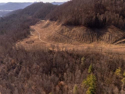 $999 Down Land, Multiple Available : Livingston : Whitley County : Kentucky