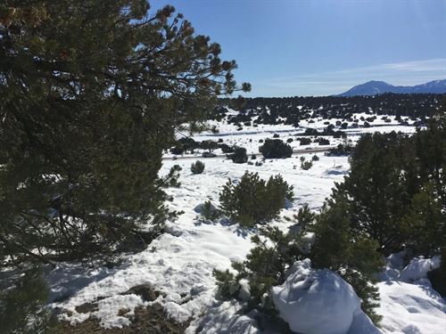 Lot 620 Rio Cucharas, Walsenburg : Walsenburg : Huerfano County : Colorado