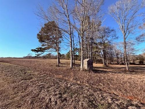 16.9 Acres, Joby Magee Road, Fran : Franklinton : Washington Parish : Louisiana