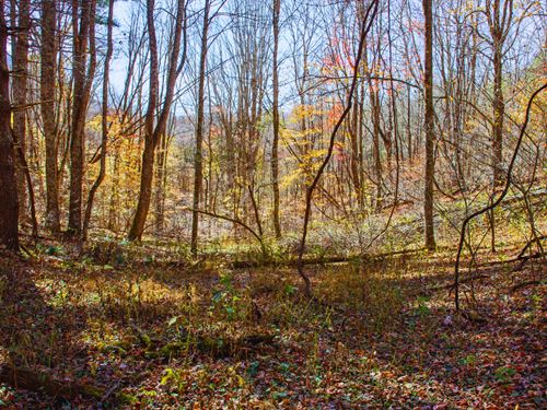 .90 Acres Creston NC : Creston : Ashe County : North Carolina