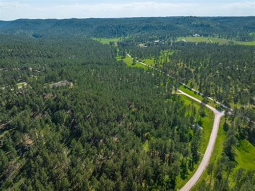 Black Hills Custer Land : Custer : South Dakota