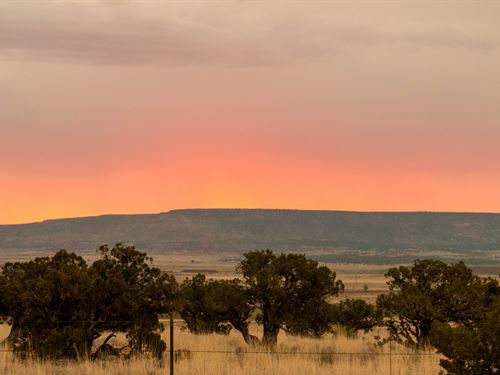 Near Multiple Parks and Albuquerque : Rio Rancho : Sandoval County : New Mexico