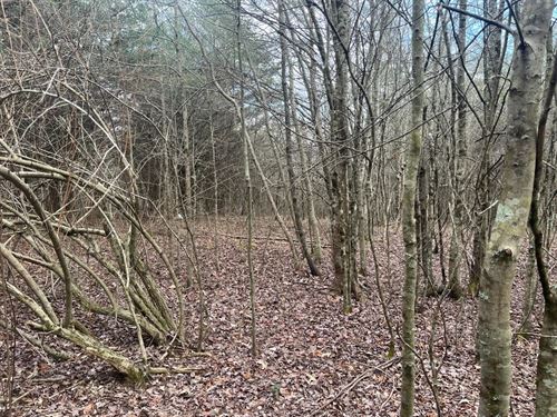 2 Acres in Marion County, TN : Sequatchie : Marion County : Tennessee